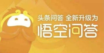 悟空问答和头条写文,揭秘热门话题背后的网络影响力